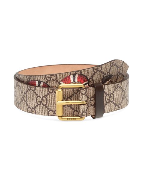 gucci supreme belt with kingsnake print|Gucci belt silver buckle men's.